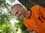 0003_martin_fucik